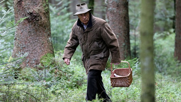 Franz streift mit einem Korb in der Hand durch den Wald