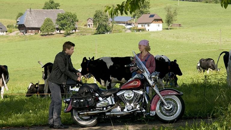 Andreas und Bea auf dem Gelände des Fallerhofes bei Andreas' Harley, im Hintergrund schwarzbunte Kühe