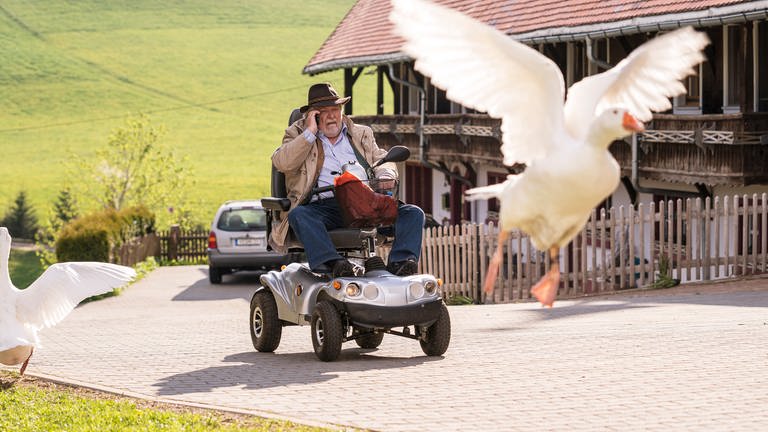 Hermann in seinem Scooter, vor ihm fliegt eine Ganz in die Höhe