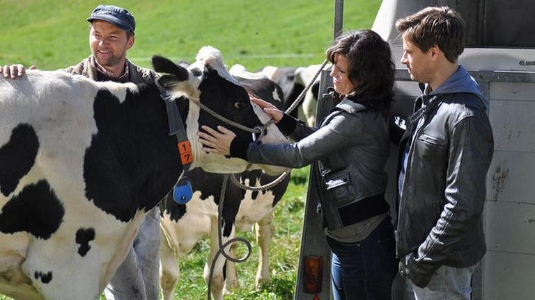 Niki, Eva und Andreas stehen auf der Weide bei einer schwarzbunten Kuh