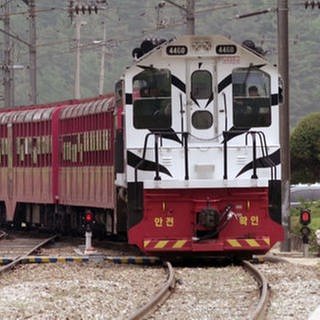 Wir nehmen Platz im „Baby baekho Train"– übersetzt heißt das „Weißer Tiger Zug“.