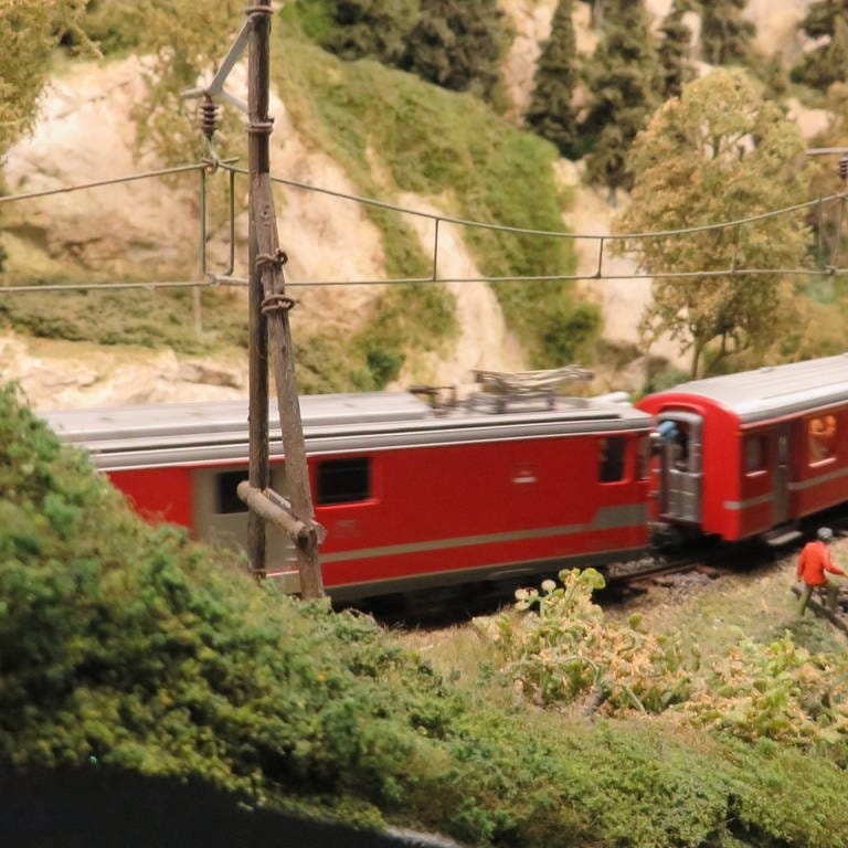 Die rot-orangenen Züge der ÖBB machen sich besonders gut auf der grünen Wachaubahn.