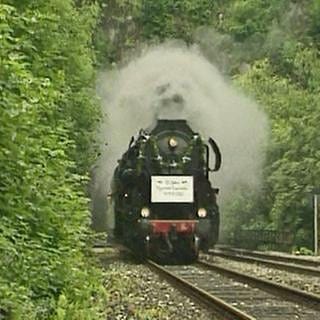 Die Pegnitztalbahn feierte im Juli 2002 ihren 125. Geburtstag und wurde von sieben Dampf-Sonderzügen aus ganz Deutschland besucht.