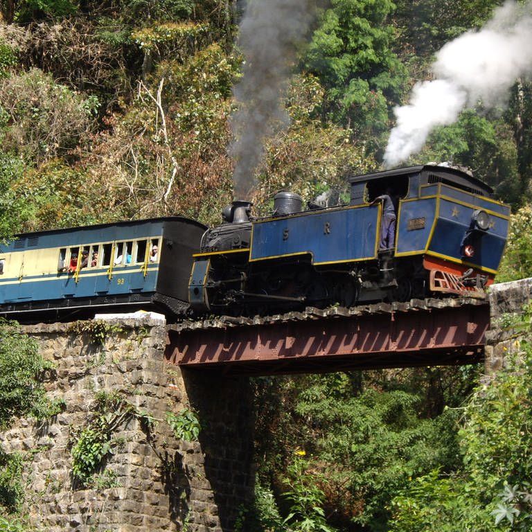 Toy train nennen die Inder die Nilgiri Mountain Railway