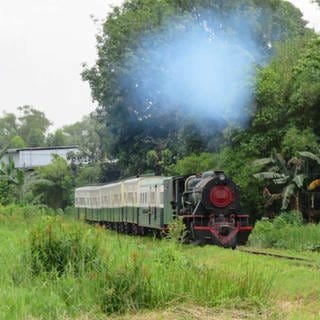 Eine Dampflok der englischen Vulcan Foundry aus den 50er Jahren steht vor den restaurierten Reisezugwagen der North Borneo Railway.