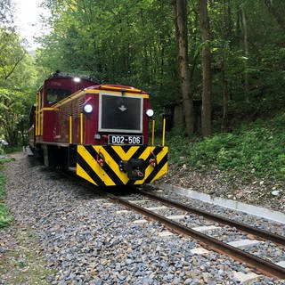 Die Waldeisenbahn half, das Bükk-Gebirge für die Holzgewinnung zu erschließen, nachdem Ungarn nach dem Ersten Weltkrieg Territorien mit waldreichen Gegenden verloren hatte.